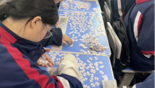 图片9.png 图片9.png